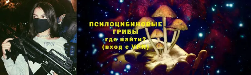 Галлюциногенные грибы Psilocybine cubensis  Борзя 